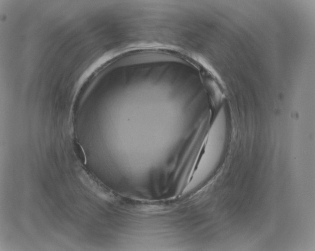 X0000083041173200702231922