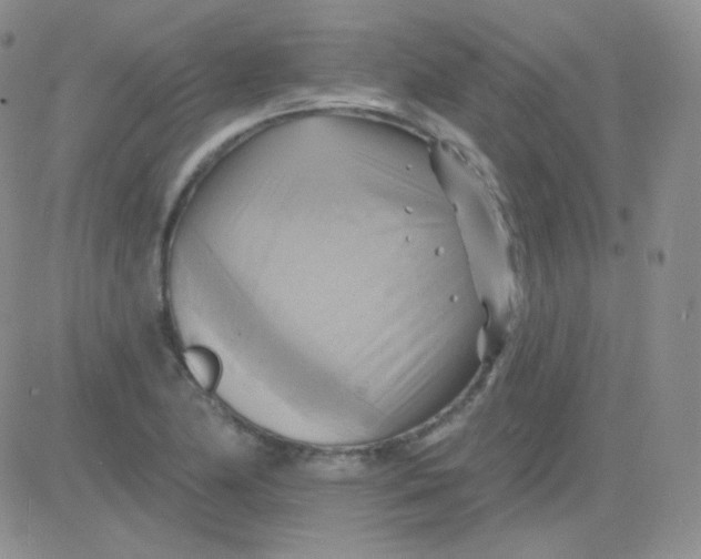 X0000083041174200702231922