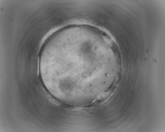 X0000083041175200702231922