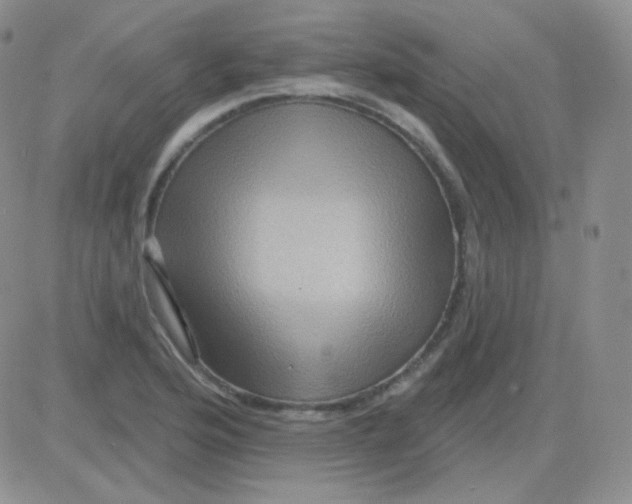 X0000083041176200702231922