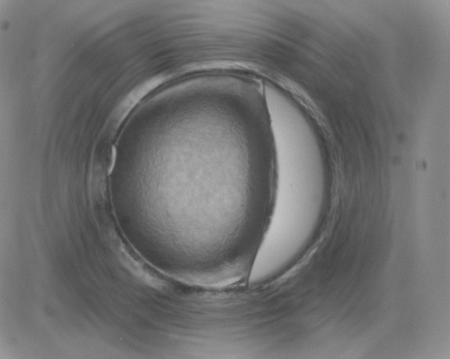 X0000083041177200702231922