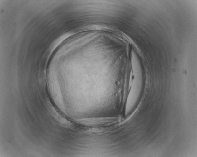 X0000083041178200702231922