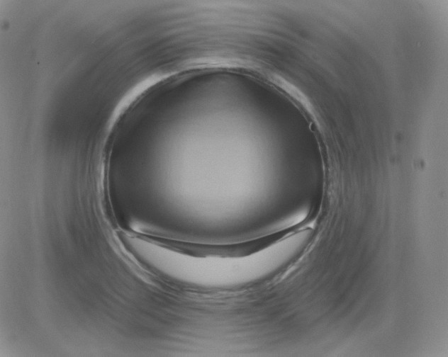 X0000083041179200702231922