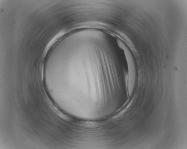 X0000083041180200702231922