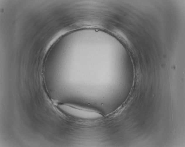 X0000083041182200702231922