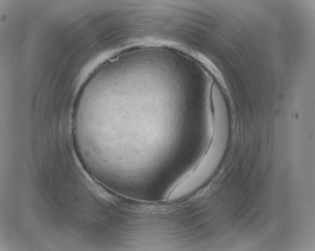 X0000083041183200702231922