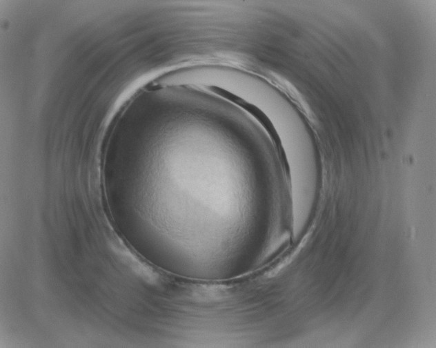 X0000083041184200702231922