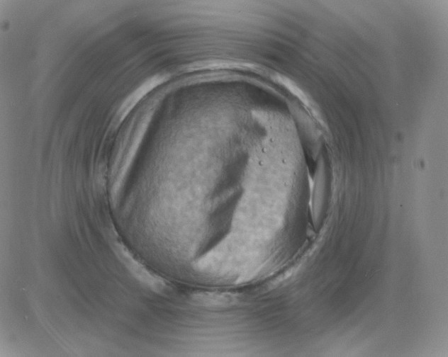 X0000083041185200702231922