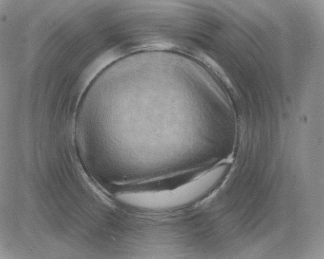 X0000083041186200702231922