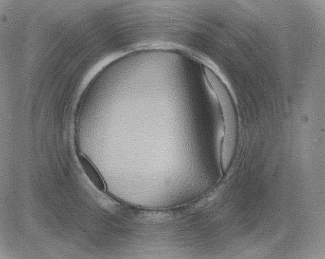 X0000083041187200702231922