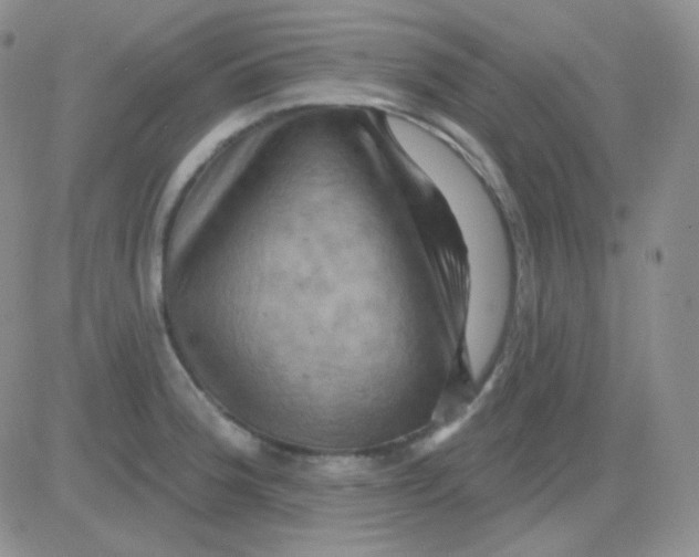 X0000083041188200702231922