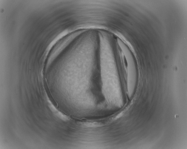 X0000083041189200702231922