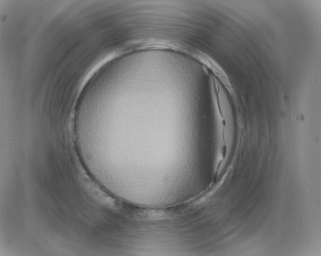 X0000083041190200702231922