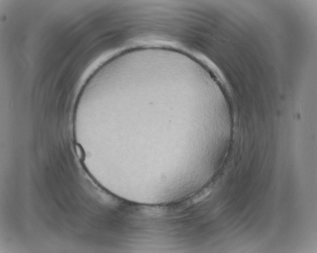 X0000083041191200702231922