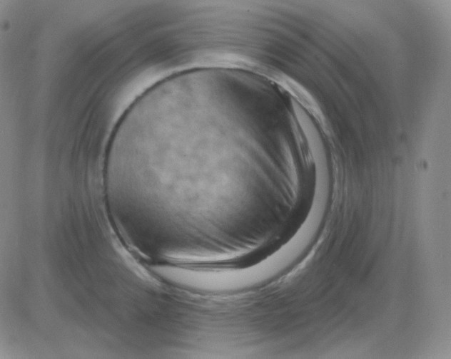 X0000083041192200702231922