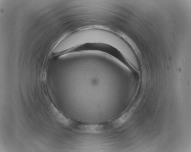 X0000083041193200702231922