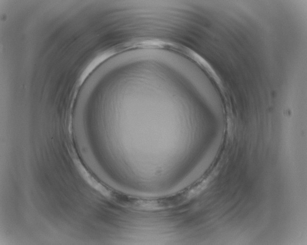 X0000083041194200702231922