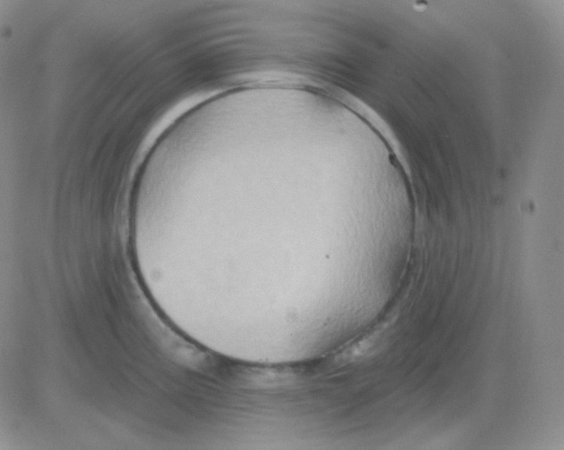 X0000083041195200702231922