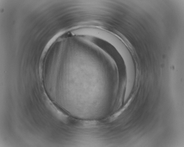 X0000083041196200702231922