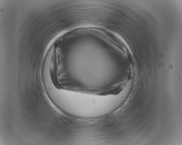 X0000083041197200702231922