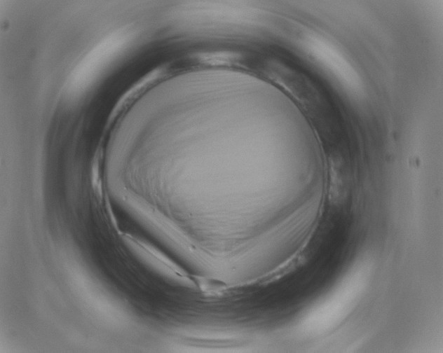 X0000083041198200702231922