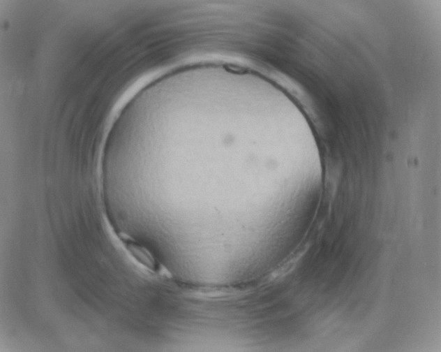 X0000083041199200702231922