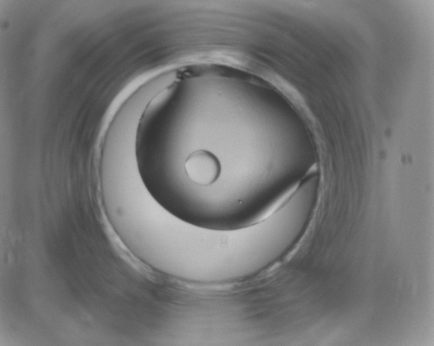 X0000083041200200702231922