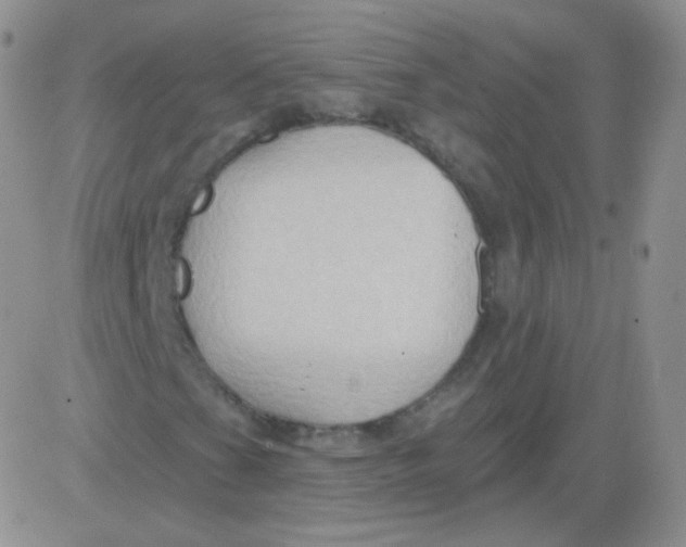 X0000083041201200702231921