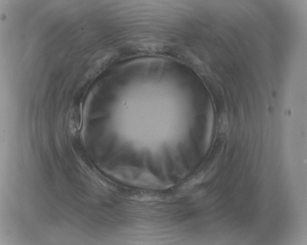 X0000083041202200702231921