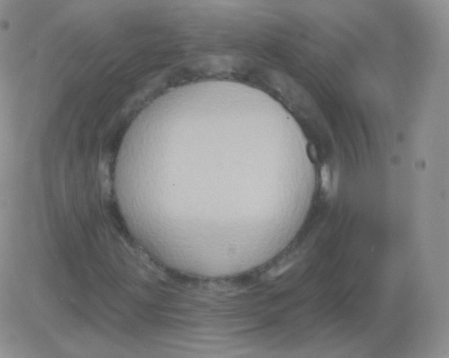 X0000083041203200702231921