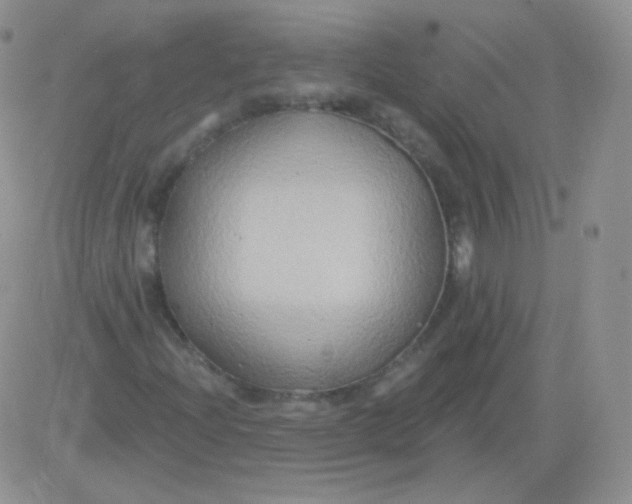 X0000083041204200702231921