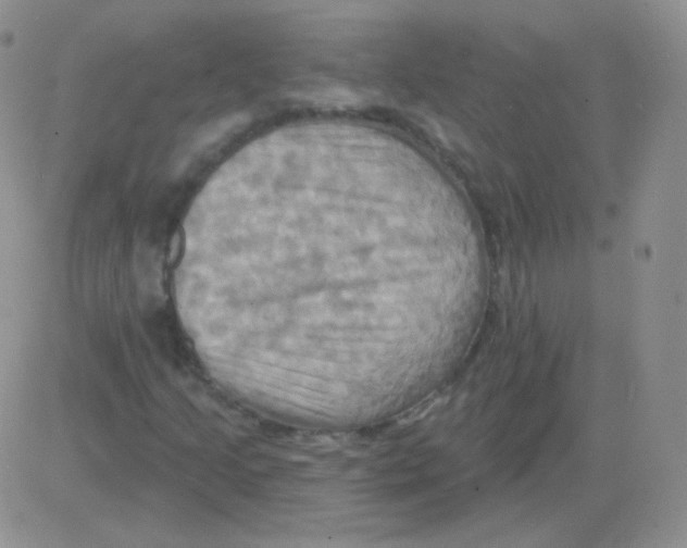 X0000083041205200702231921