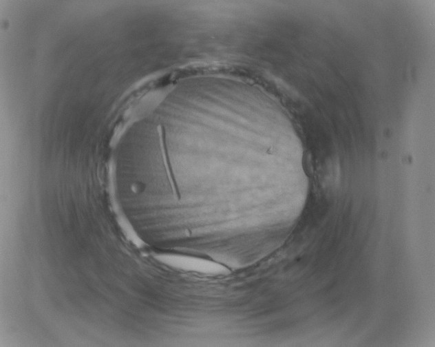 X0000083041206200702231921