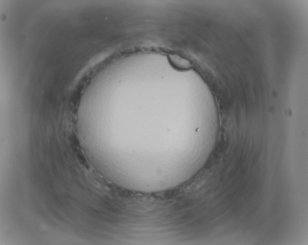 X0000083041207200702231921