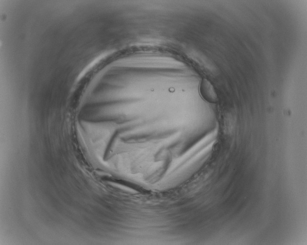 X0000083041208200702231921