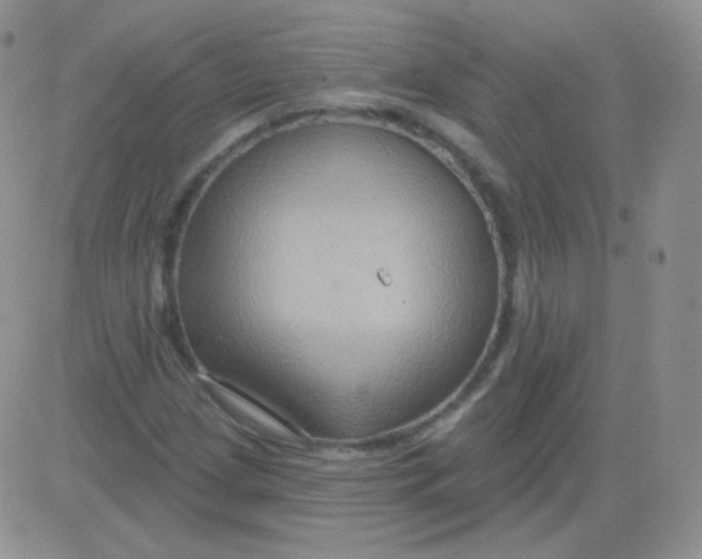 X0000083041209200702231921