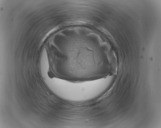 X0000083041210200702231921