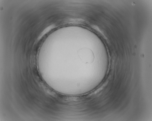 X0000083041211200702231921