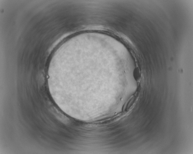 X0000083041212200702231921