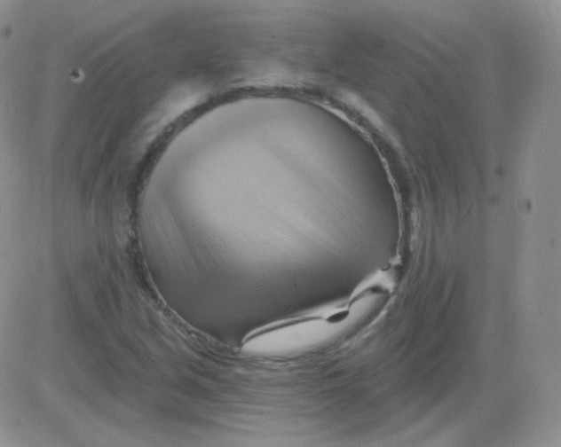 X0000083041213200702231921