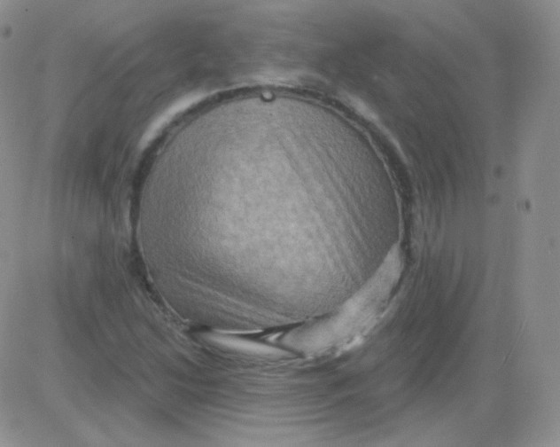 X0000083041214200702231921