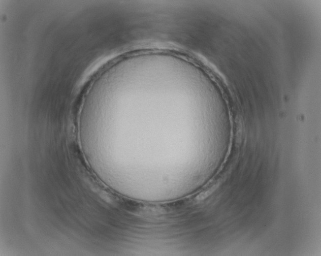 X0000083041215200702231921