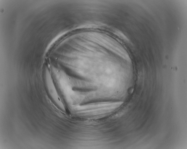 X0000083041216200702231921