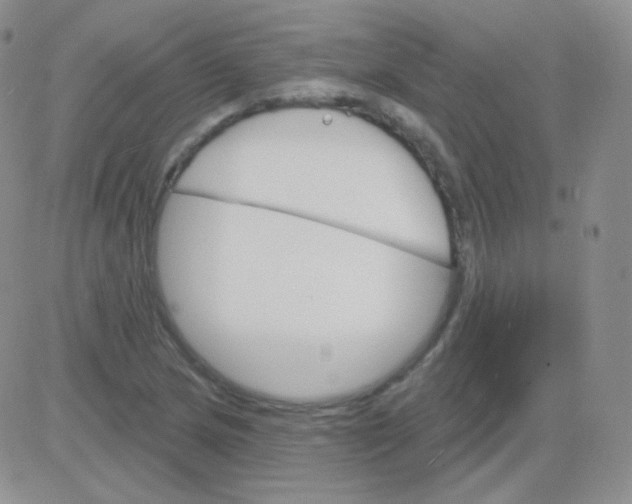 X0000083041217200702231921