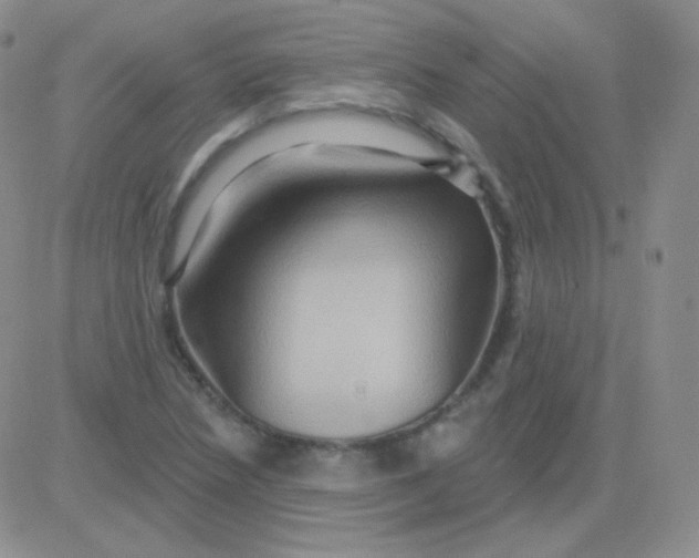 X0000083041218200702231921