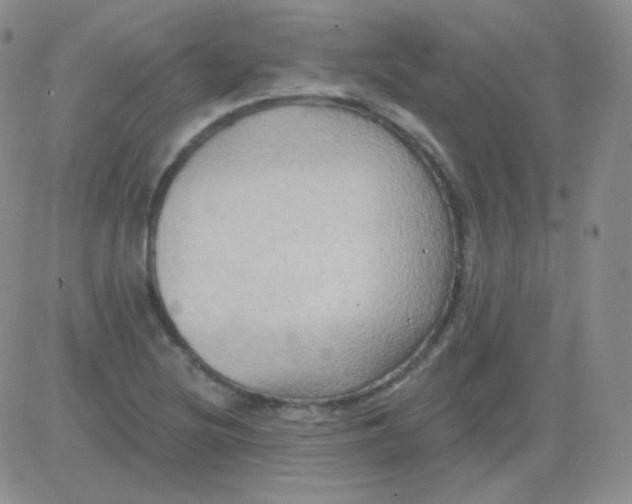 X0000083041220200702231921