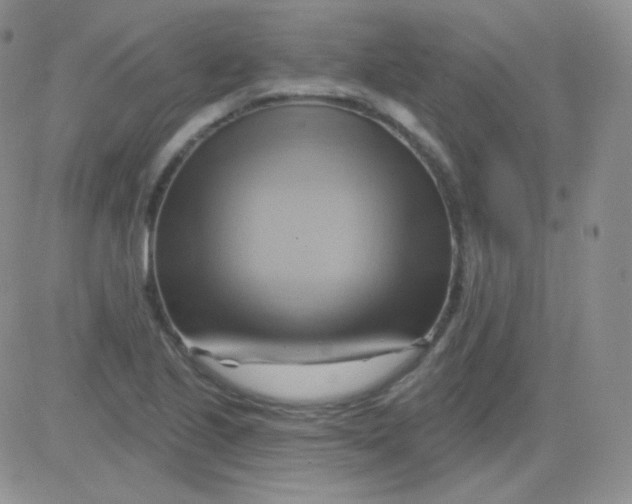 X0000083041221200702231921