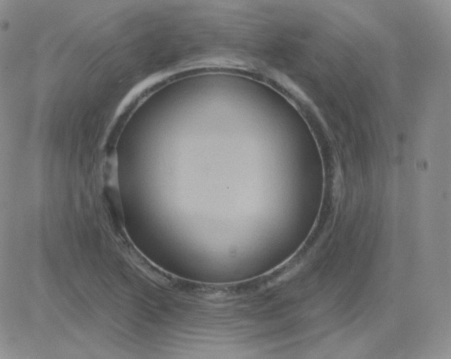 X0000083041222200702231921