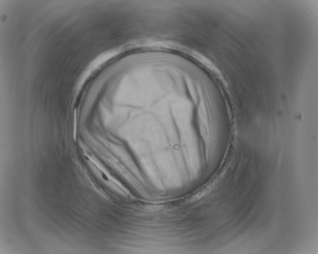 X0000083041223200702231921