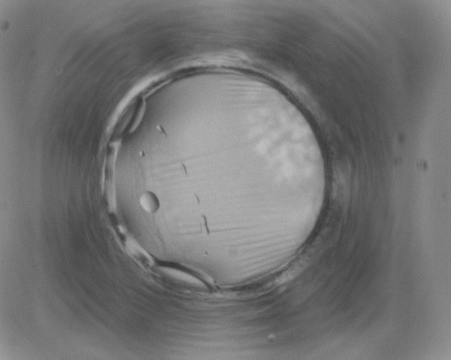 X0000083041224200702231921